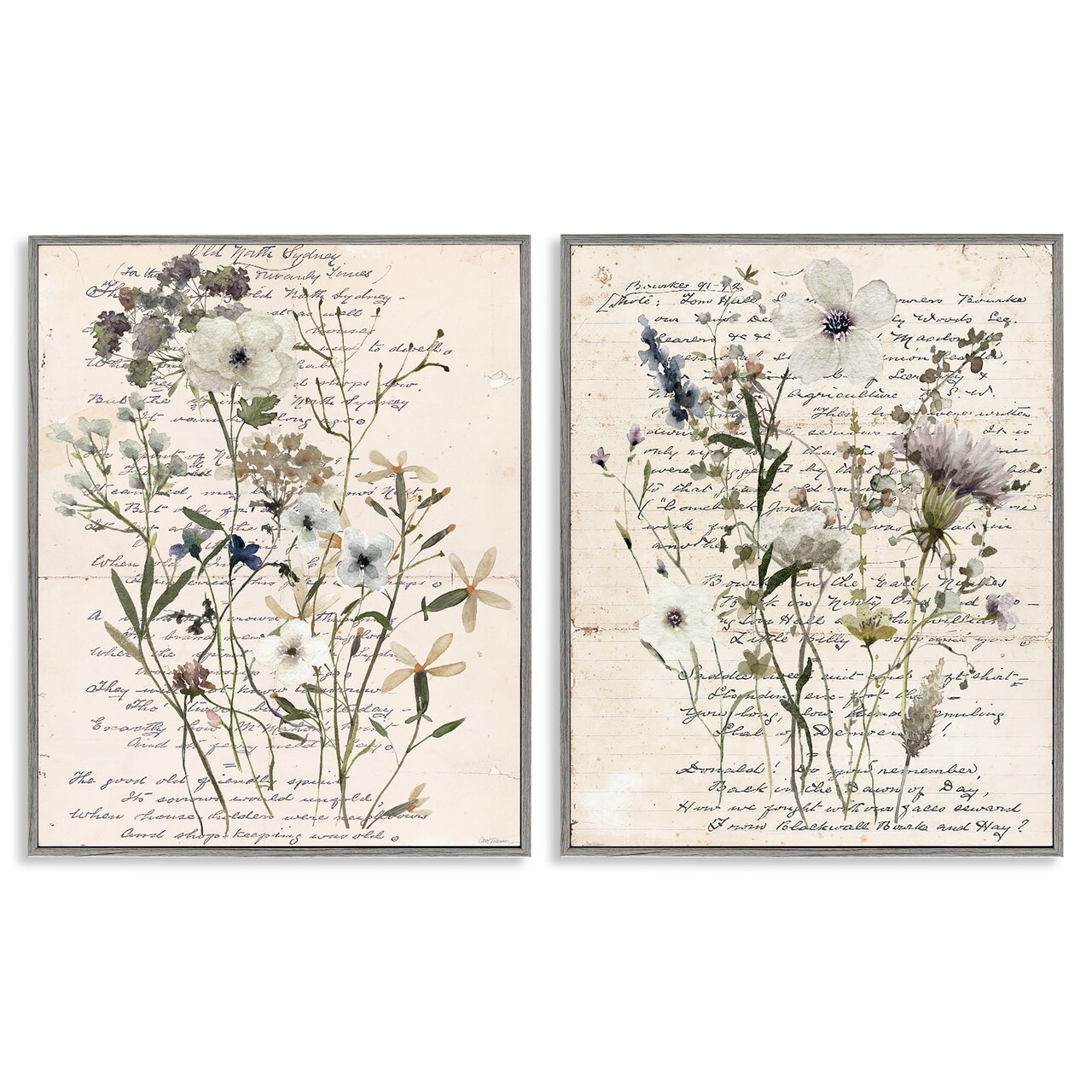 Stupell Industries Vintage Letters with Botanicals 2pc Framed Giclee Wall Art Set Design by Carol Robinson